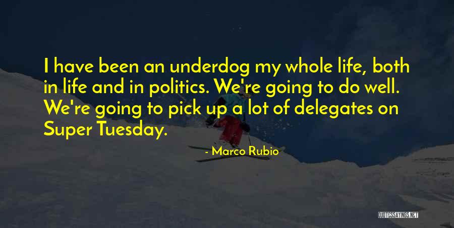 Nebile Quotes By Marco Rubio Nebile Quotes By Marco Rubio