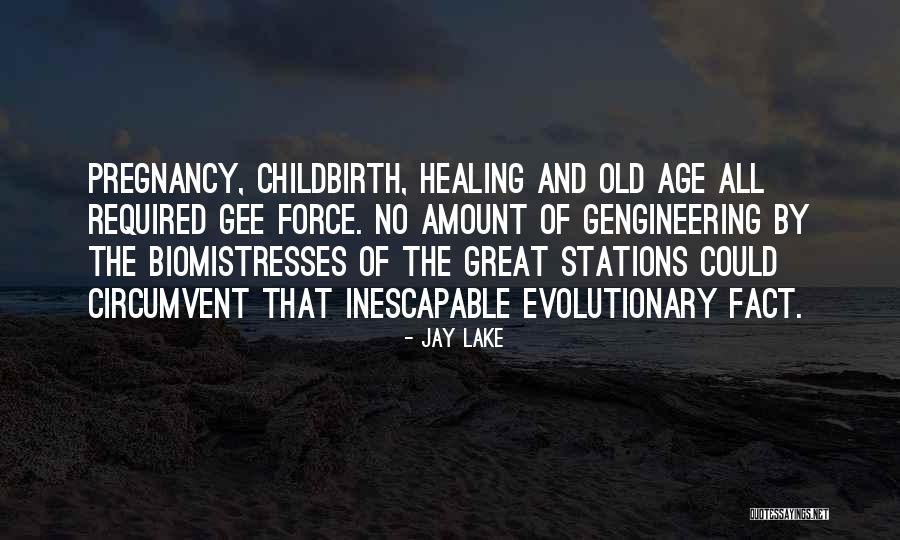 Nebolei Quotes By Jay Lake Nebolei Quotes By Jay Lake