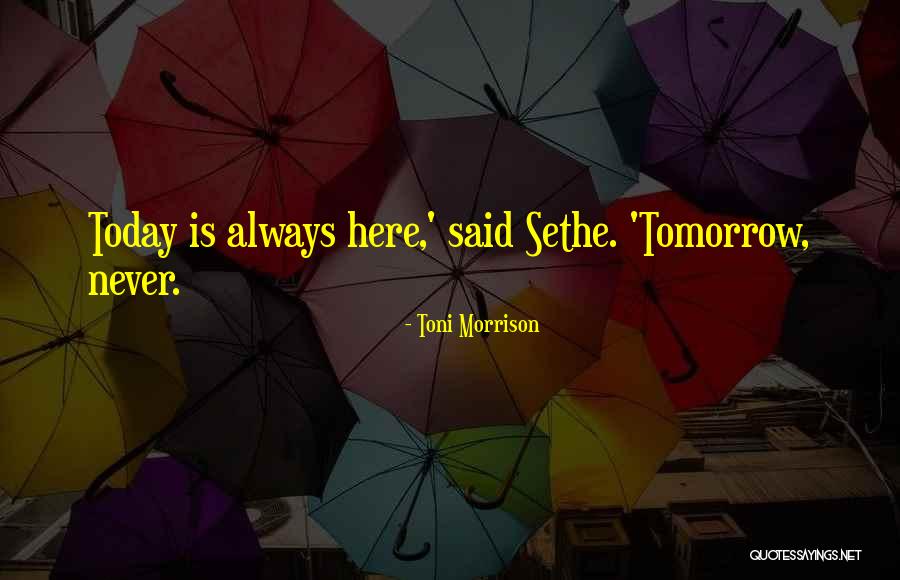 Necati Cumali Quotes By Toni Morrison Necati Cumali Quotes By Toni Morrison