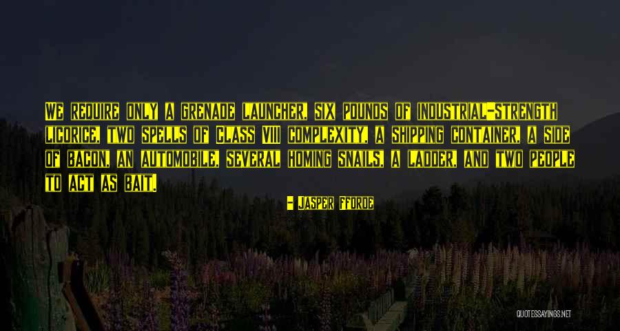 Necesario Definicion Quotes By Jasper Fforde Necesario Definicion Quotes By Jasper Fforde