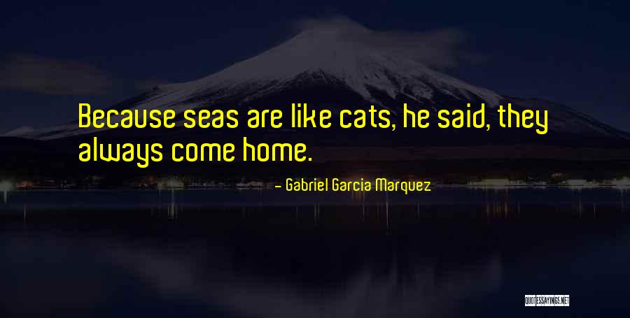 Necesidad Sinonimo Quotes By Gabriel Garcia Marquez Necesidad Sinonimo Quotes By Gabriel Garcia Marquez