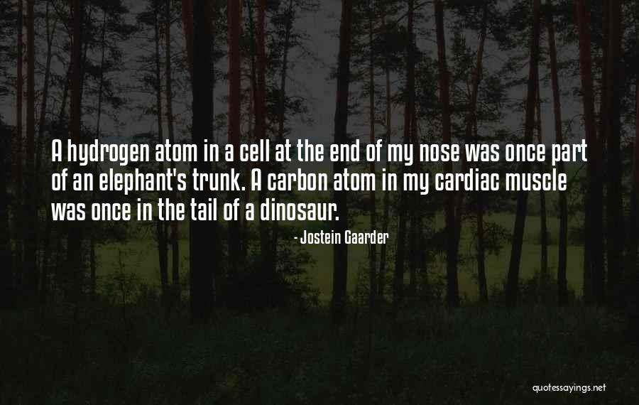 Necesitaba Este Quotes By Jostein Gaarder Necesitaba Este Quotes By Jostein Gaarder