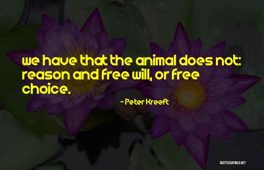 Necesitan Ayuda Quotes By Peter Kreeft