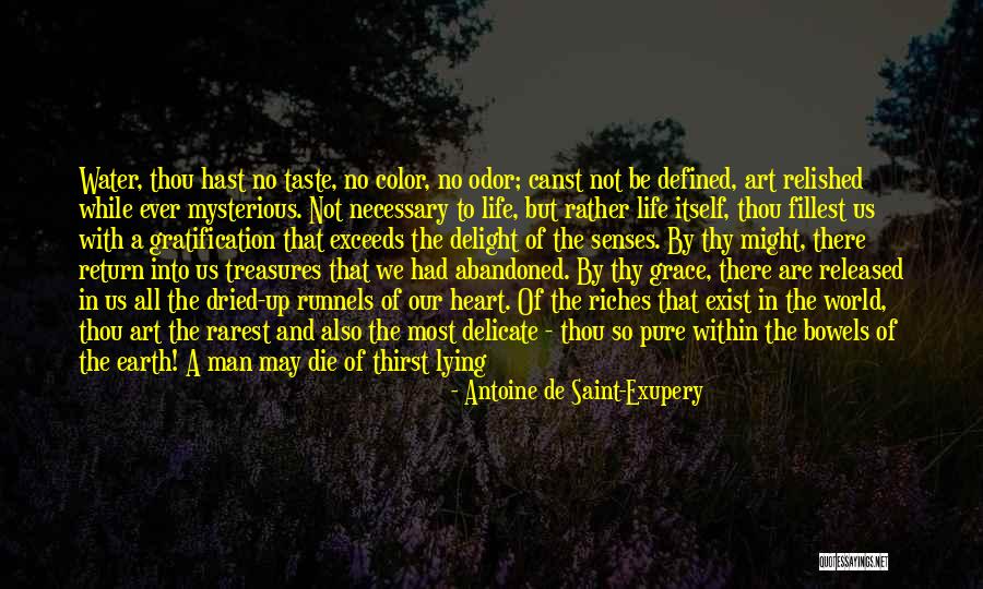 Necessary Evil Quotes By Antoine De Saint-Exupery