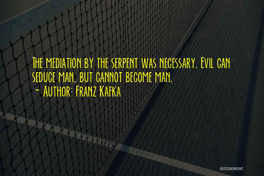 Necessary Evil Quotes By Franz Kafka