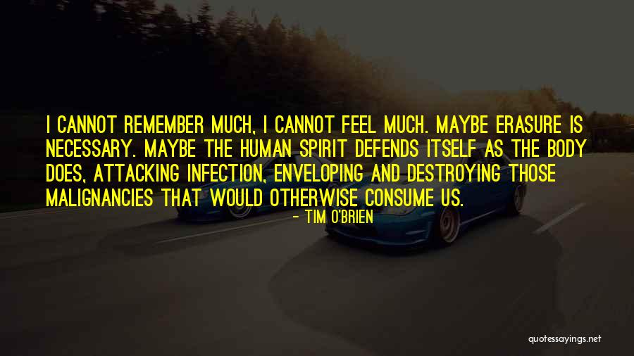 Necessary Quotes By Tim O'Brien