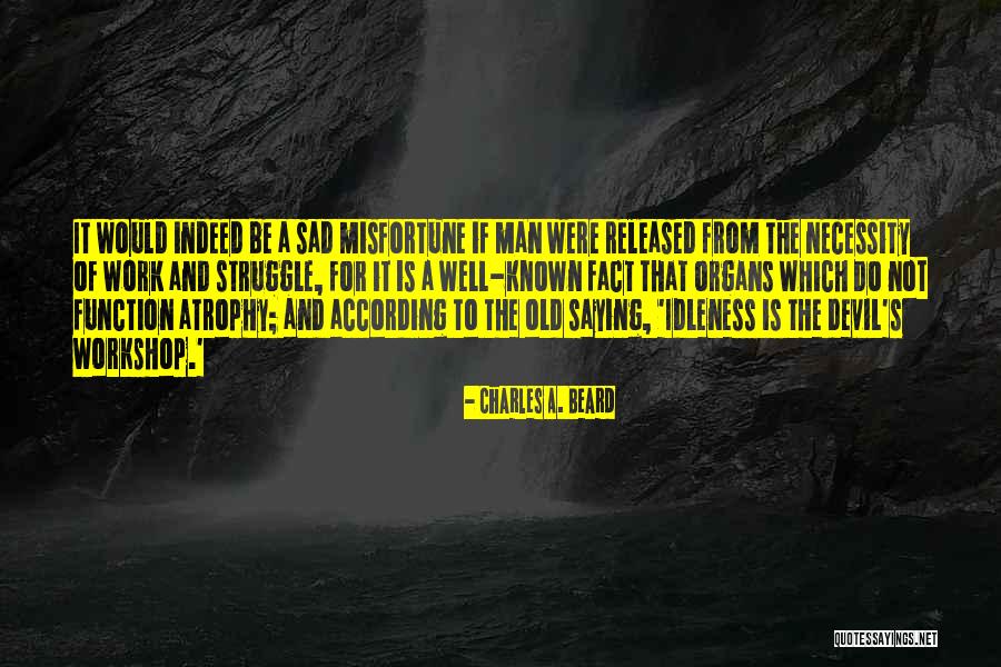 Necessity And Function Quotes By Charles A. Beard Necessity And Function Quotes By Charles A. Beard