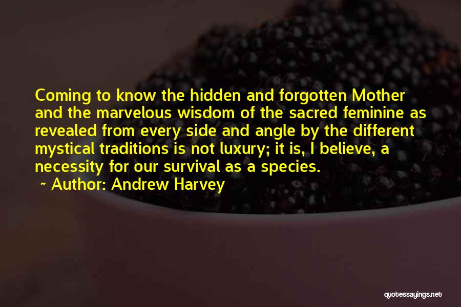Necessity And Luxury Quotes By Andrew Harvey