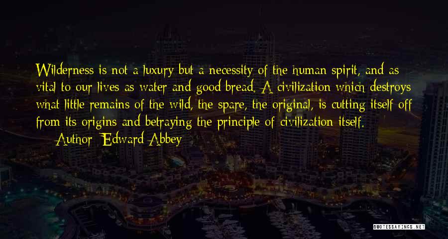 Necessity And Luxury Quotes By Edward Abbey