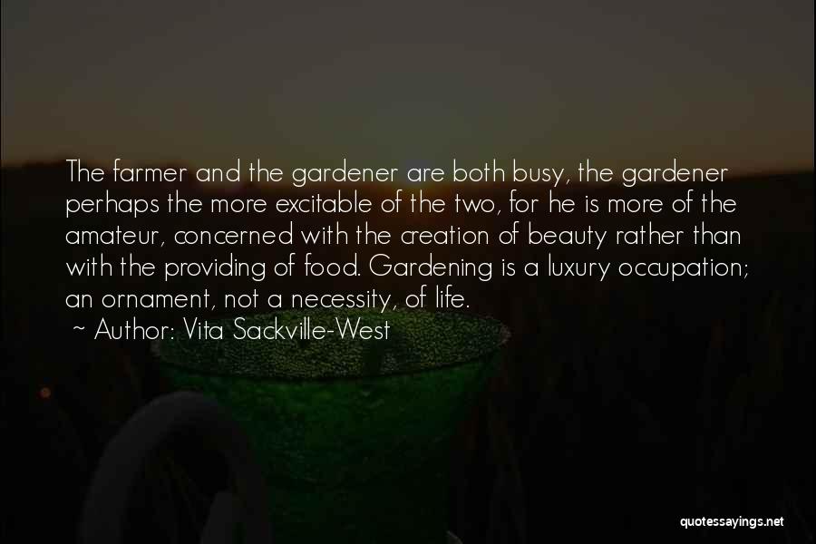 Necessity And Luxury Quotes By Vita Sackville-West