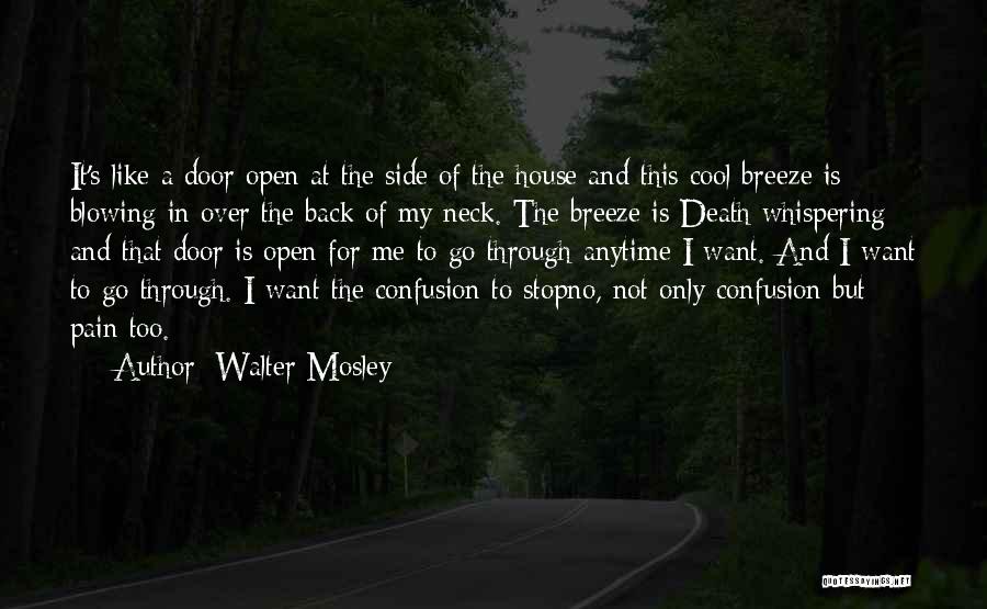 Neck Pain Quotes By Walter Mosley