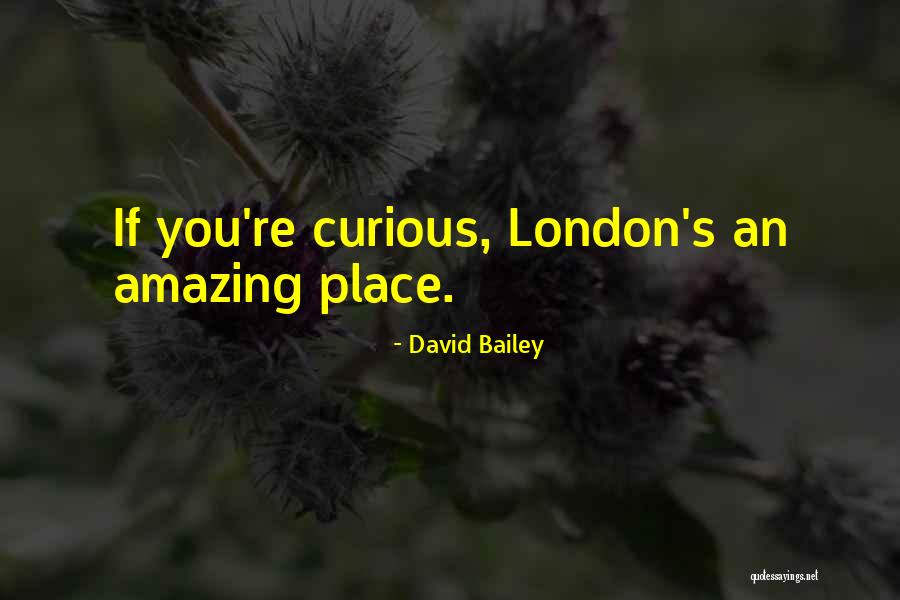 Neckline For Beard Quotes By David Bailey
