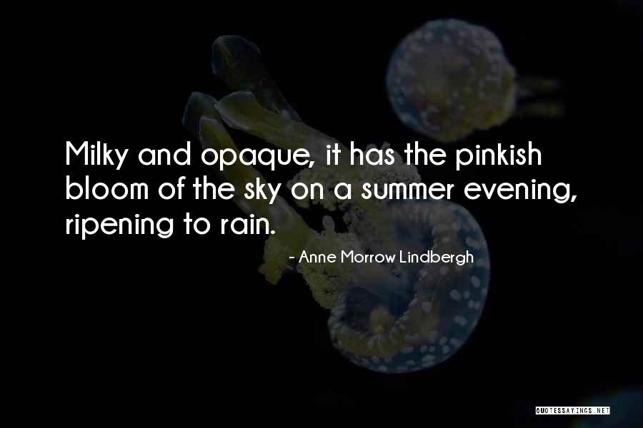 Necrophobia Imdb Quotes By Anne Morrow Lindbergh Necrophobia Imdb Quotes By Anne Morrow Lindbergh