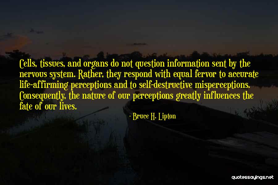 Necropolis Movie Quotes By Bruce H. Lipton Necropolis Movie Quotes By Bruce H. Lipton