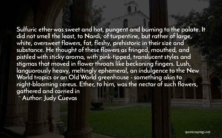 Nectar Quotes By Judy Cuevas