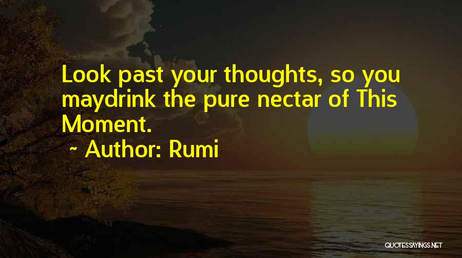 Nectar Quotes By Rumi