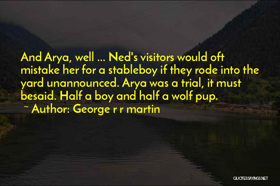 Ned And Arya Quotes By George R R Martin