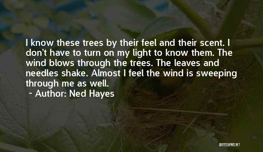 Ned Hayes Quotes 1194486