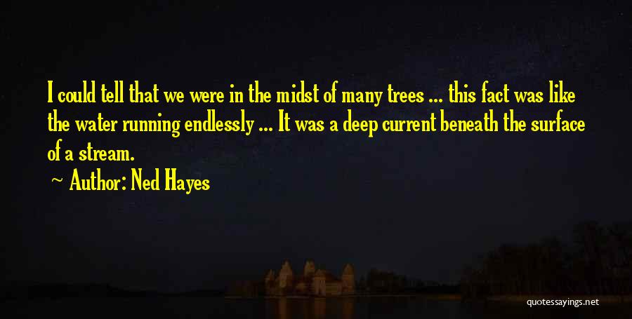 Ned Hayes Quotes 1199681