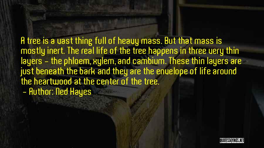 Ned Hayes Quotes 1275905
