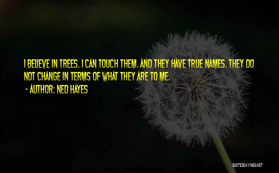 Ned Hayes Quotes 1333707