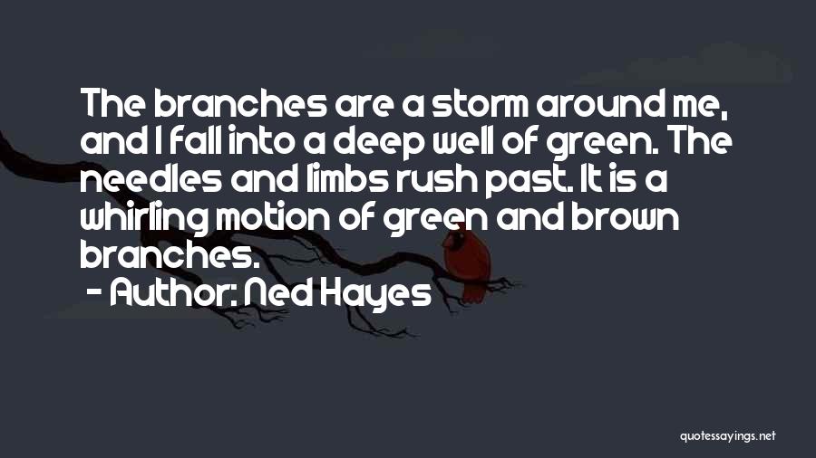 Ned Hayes Quotes 1540182