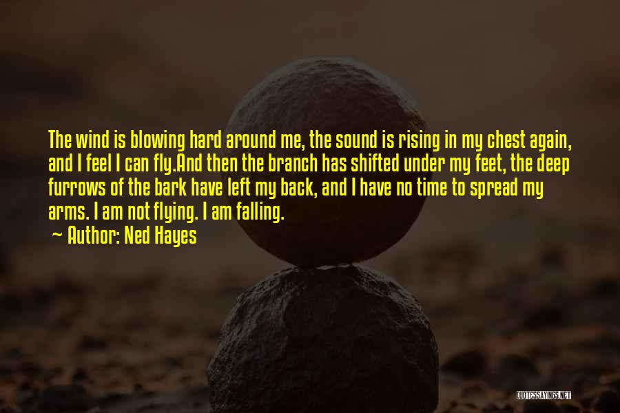 Ned Hayes Quotes 1630375