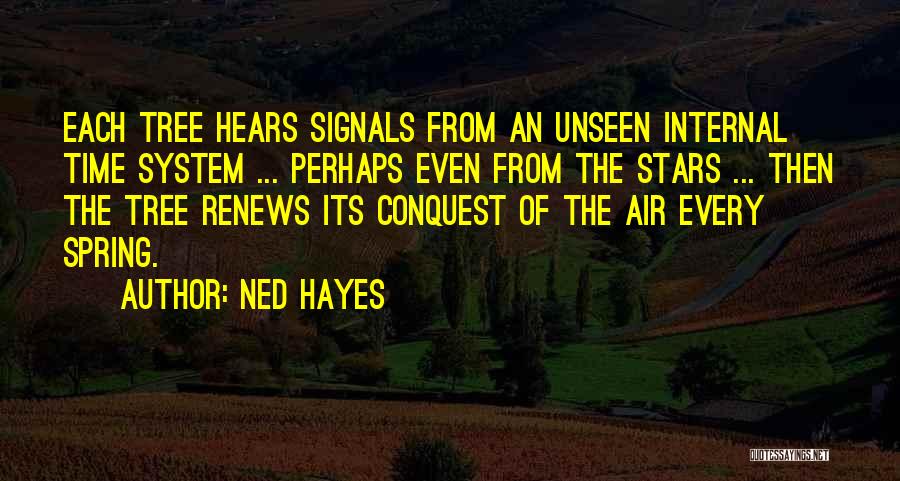 Ned Hayes Quotes 1779729