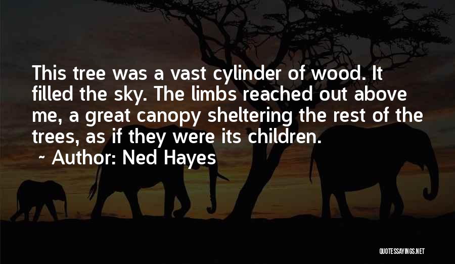 Ned Hayes Quotes 191166