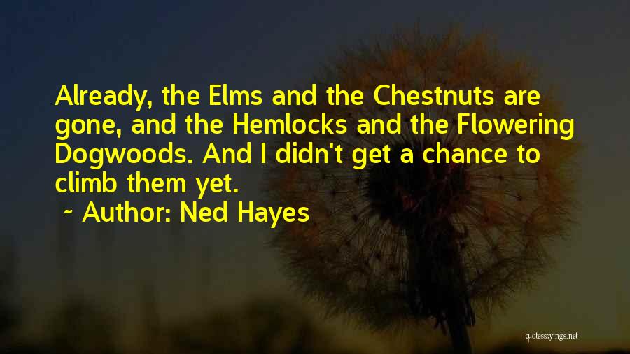 Ned Hayes Quotes 2216581