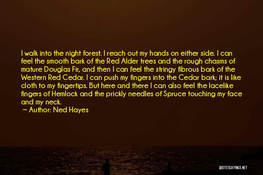 Ned Hayes Quotes 524385