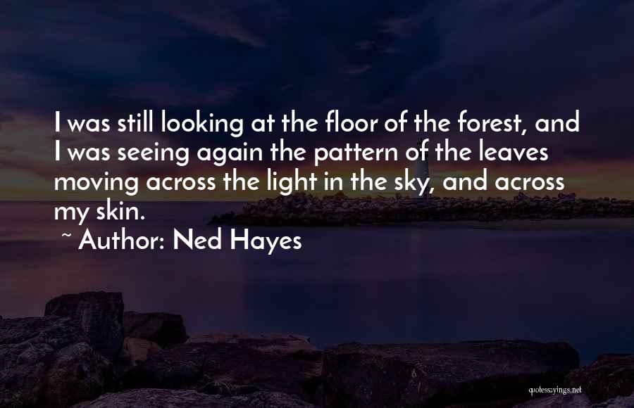 Ned Hayes Quotes 647064