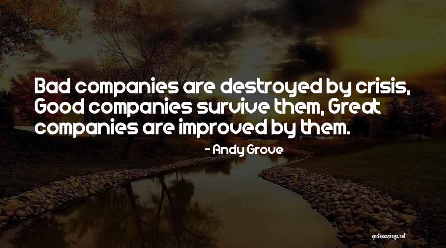 Nedarbingumo Quotes By Andy Grove Nedarbingumo Quotes By Andy Grove