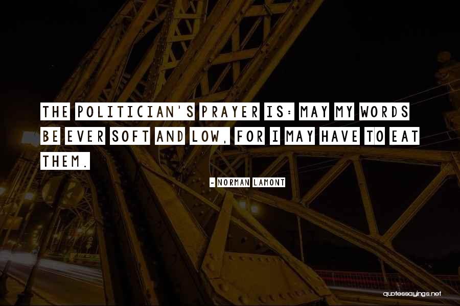 Nedelja Stednje Quotes By Norman Lamont Nedelja Stednje Quotes By Norman Lamont