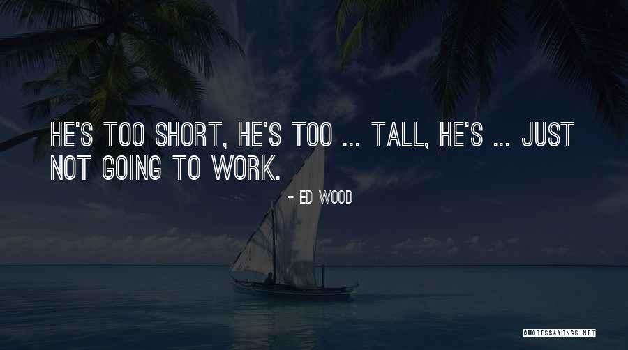 Nedemnitate Quotes By Ed Wood Nedemnitate Quotes By Ed Wood