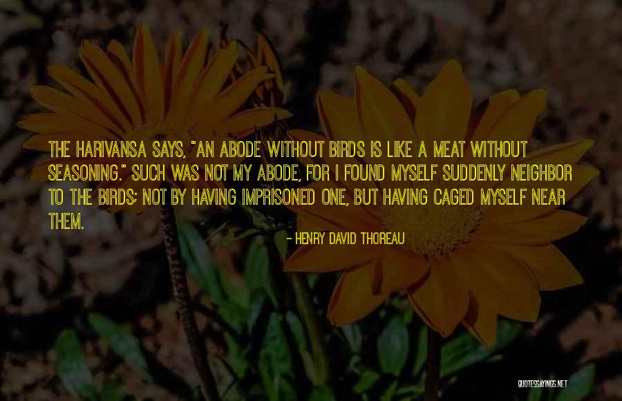 Nedemnitate Quotes By Henry David Thoreau Nedemnitate Quotes By Henry David Thoreau