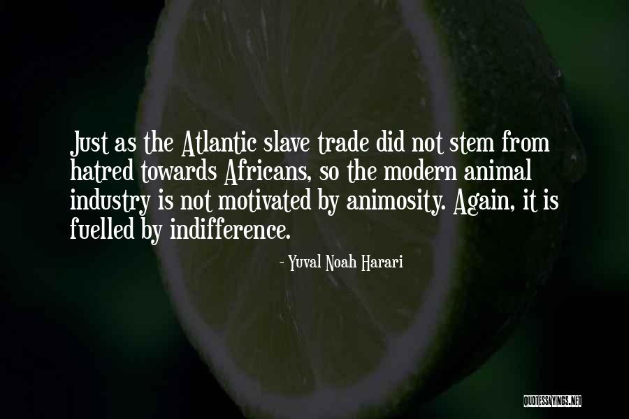 Nederman Dust Collection Quotes By Yuval Noah Harari