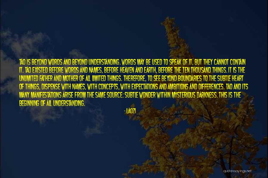 Nedhayes Quotes By Laozi Nedhayes Quotes By Laozi