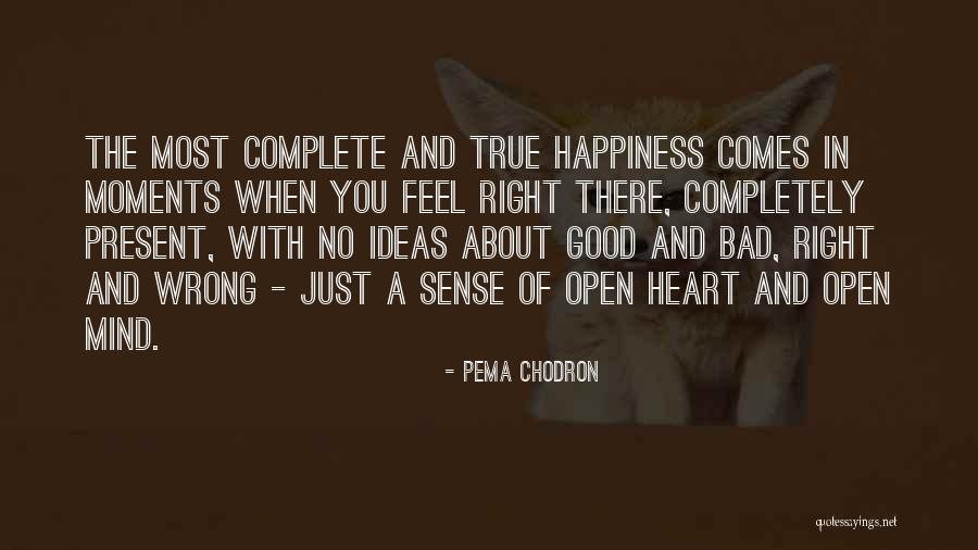 Nedra Kudrow Quotes By Pema Chodron Nedra Kudrow Quotes By Pema Chodron