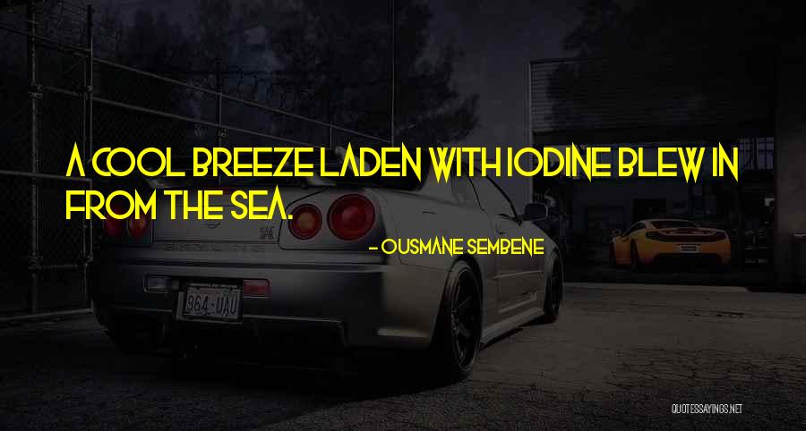 Nedry Gif Quotes By Ousmane Sembene Nedry Gif Quotes By Ousmane Sembene