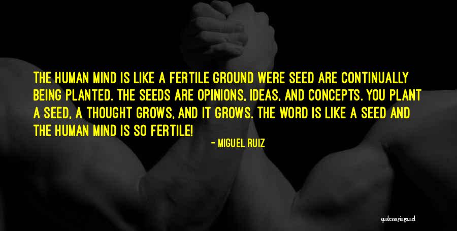 Nedungadi Bank Quotes By Miguel Ruiz Nedungadi Bank Quotes By Miguel Ruiz