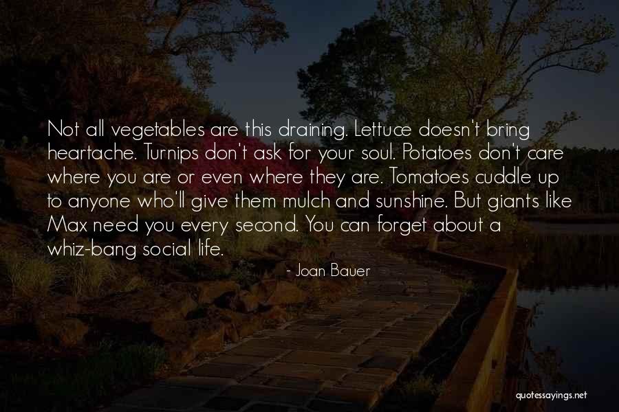 Need A Cuddle Quotes By Joan Bauer Need A Cuddle Quotes By Joan Bauer