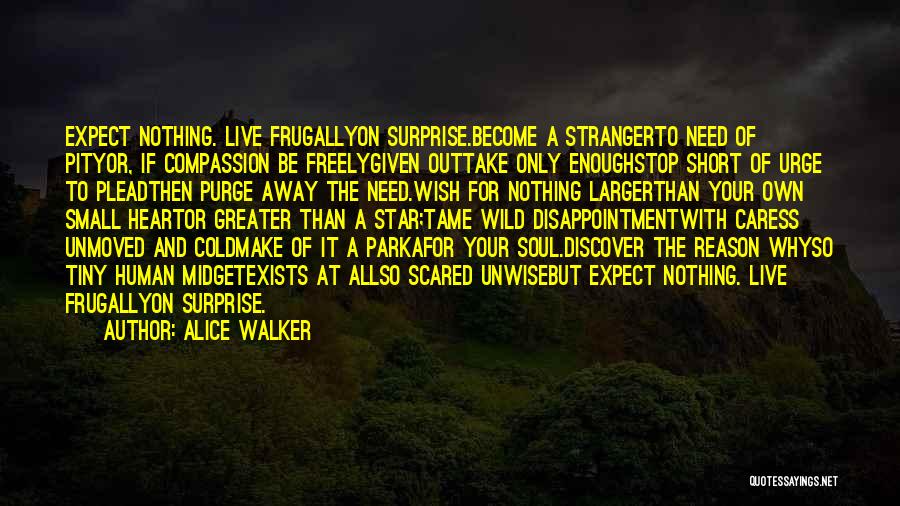 Need A Reason To Live Quotes By Alice Walker