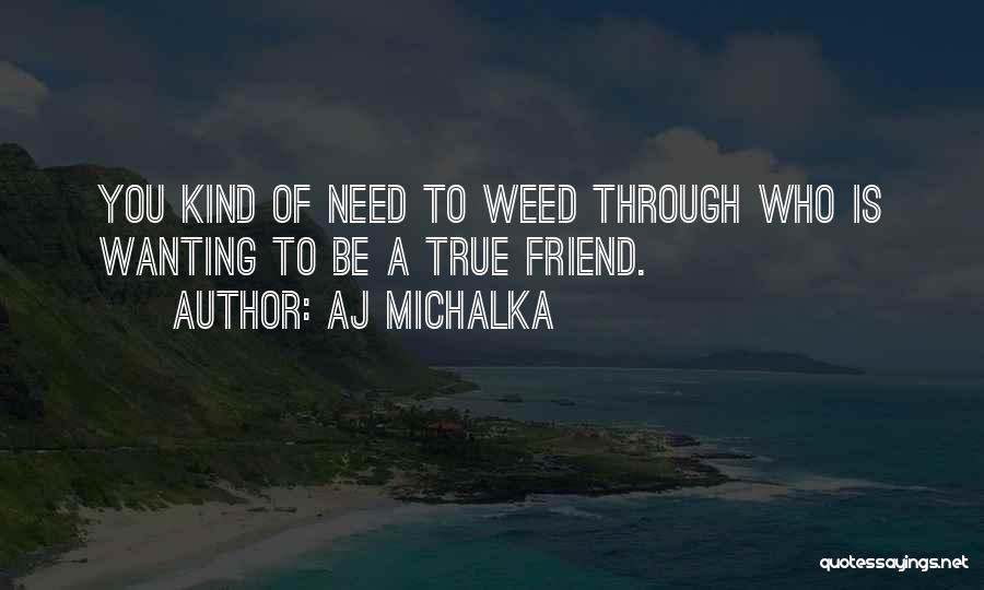 Need A True Friend Quotes By AJ Michalka