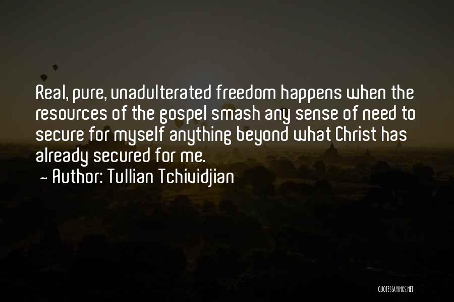 Need For Freedom Quotes By Tullian Tchividjian