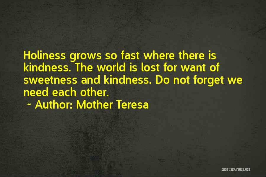 Need For Inspiration Quotes By Mother Teresa