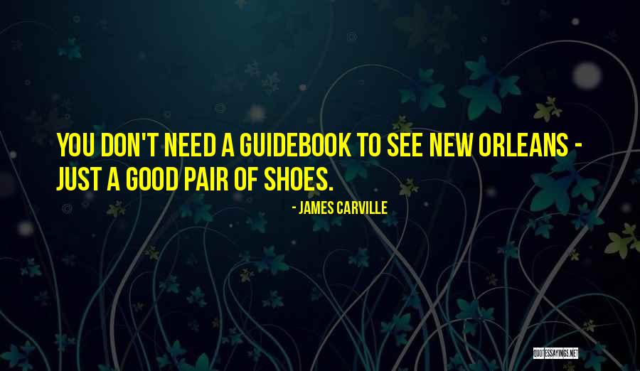 Need New Shoes Quotes By James Carville