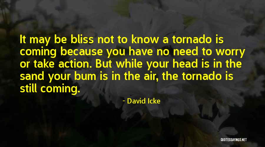 Need Not Worry Quotes By David Icke Need Not Worry Quotes By David Icke