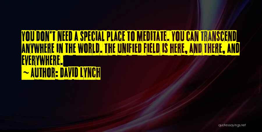 Need Someone Special Quotes By David Lynch