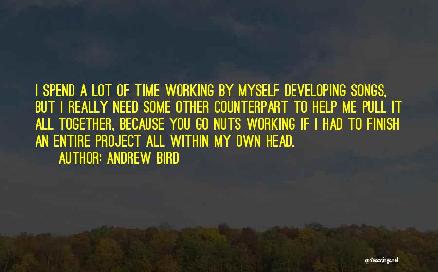 Need Time To Myself Quotes By Andrew Bird